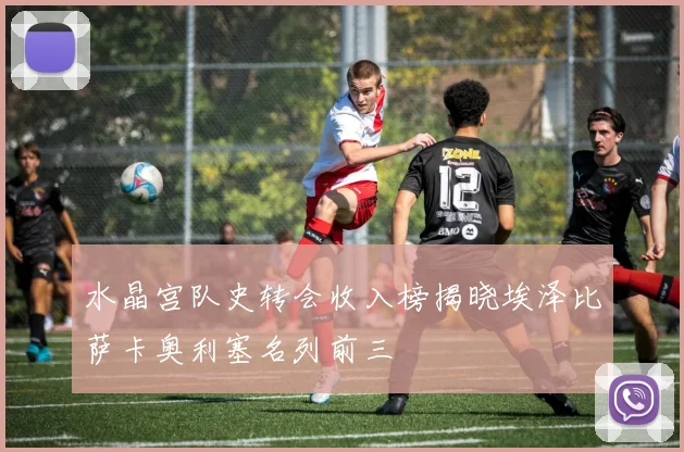 水晶宫队史转会收入榜揭晓埃泽比萨卡奥利塞名列前三