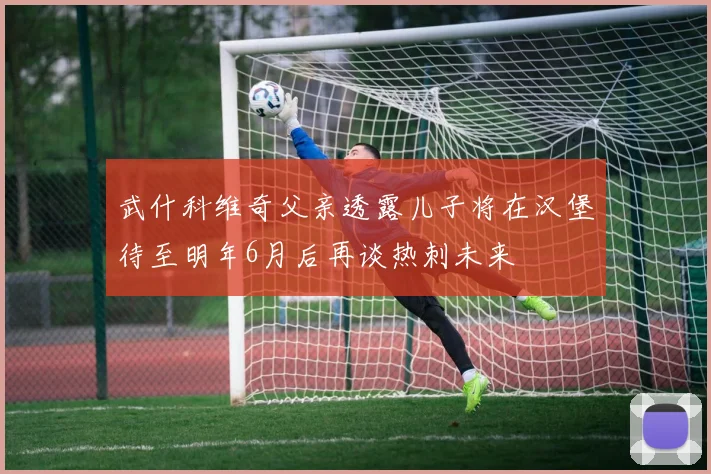武什科维奇父亲透露儿子将在汉堡待至明年6月后再谈热刺未来