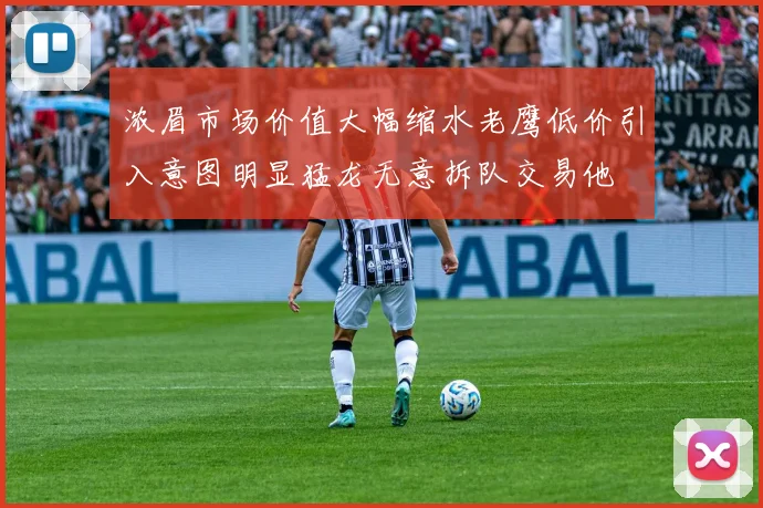 浓眉市场价值大幅缩水老鹰低价引入意图明显猛龙无意拆队交易他