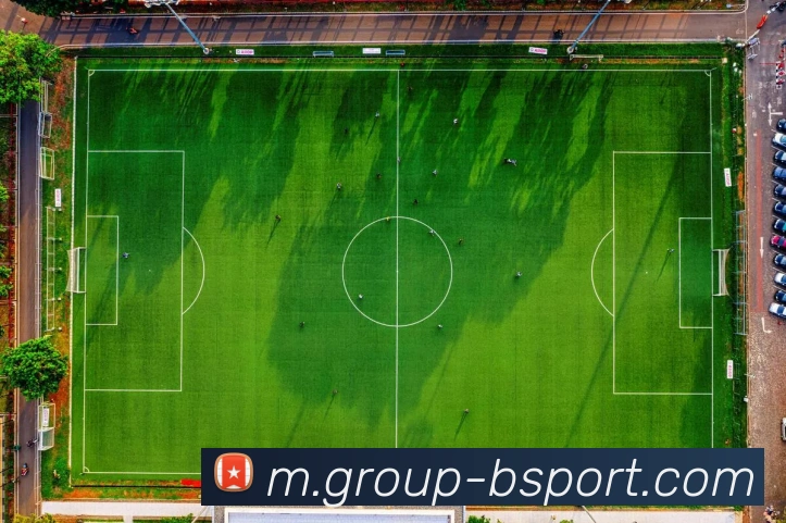 B体育平台生态图